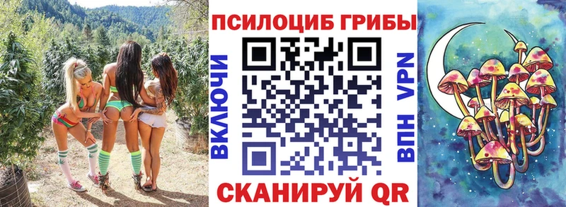 купить наркоту  Калининград  Галлюциногенные грибы мицелий 